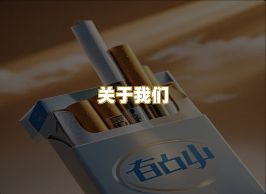 关于我们